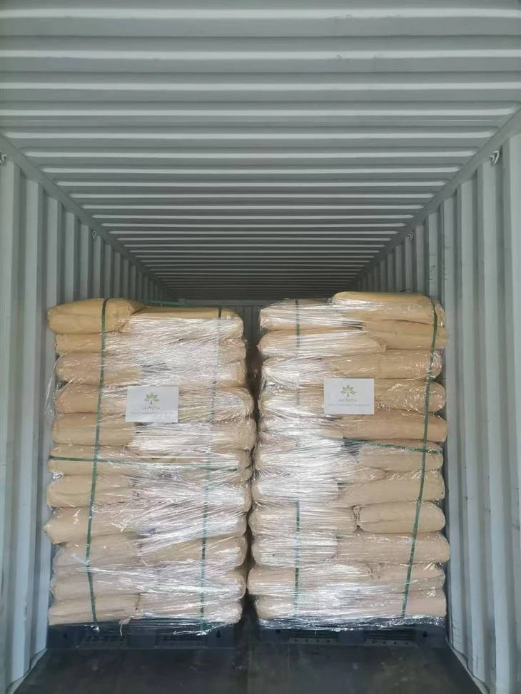 Lignocaine Powder