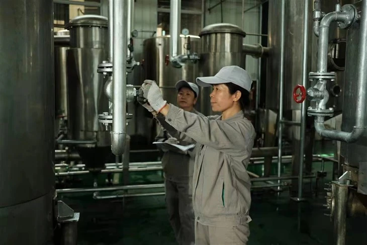 Tribulus Terrestris Extract